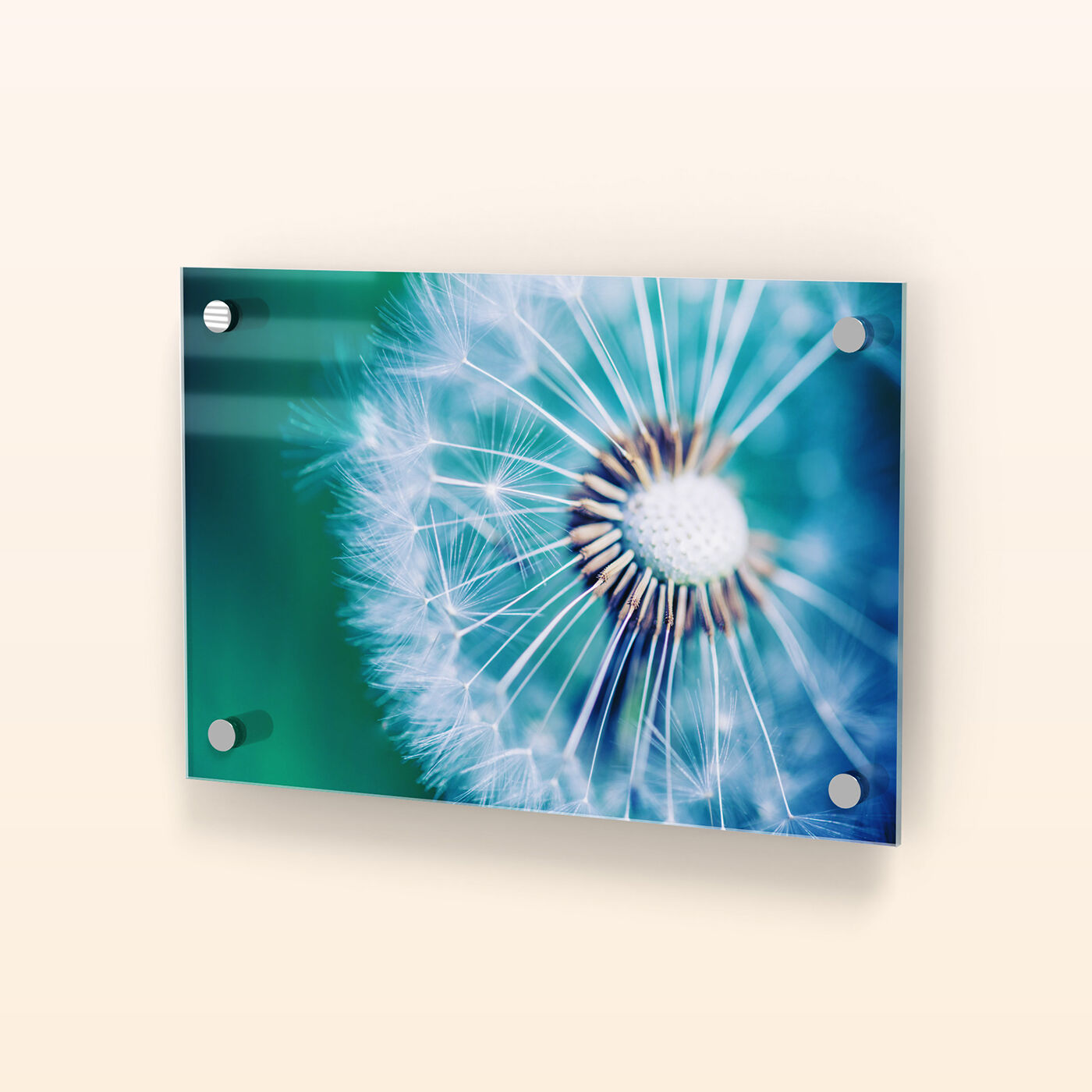 Acrylic Prints Spec Image