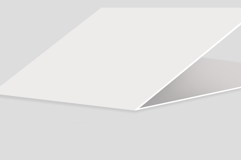 Business Flyers Print High Quality Custom Flyers for Businesses