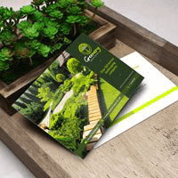 Standard Postcards